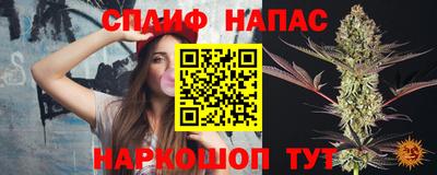 стафф Кандалакша